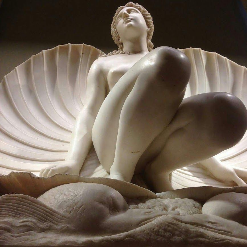 ascarpulla's tweet photo. Carlo #Finelli - Venere che esce dalla conchiglia (1847)
Museo dell'Ermitage, San Pietroburgo.
#scultura https://t.co/EKAfywSOdJ
