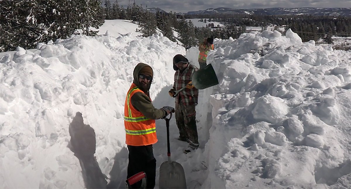 outsidemagazine's tweet photo. After 13 bison were struck and killed by a motorist in December, volunteers outside Yellowstone National Park came up with a plan to protect the animals. 

It involved shoveling snow. Lots and lots of snow. 

https://t.co/odWXGG7Bud https://t.co/I63Lu0zH7t