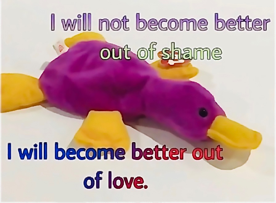 when i think about how i said “i’ll take grilled rice over chicken” to the guy at the vietnamese food cart instead of chicken over rice…