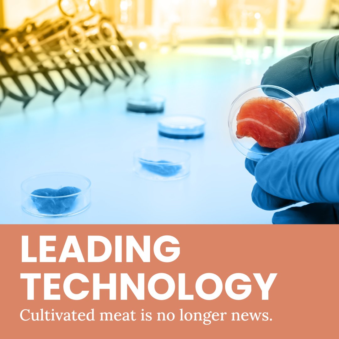 According to Vantage Market Research, the market for alternative protein will exceed $126.84 million by 2028, and Fact MR says the meat substitute market will be worth $235 billion by 2032.👏🌿 🥩#FutureOfFood #CultivatedMeats #AtelierMeats #Sustainable