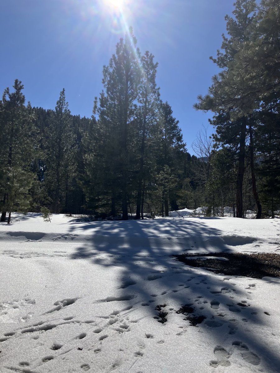 Jax (@jaxdoglife) on Twitter photo 