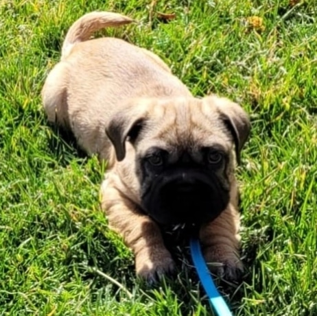 LovingMyLife416's tweet photo. Say hello to my baby ACE https://t.co/SC2KEStLf6