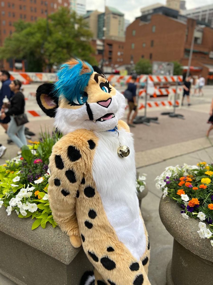I forgot to wear green. Please don't pinch. I'm innocent. 
📷 <a href="/RivardOtter/">Rivard</a> 
📍 Larimer Square, Denver
#FursuitFriday