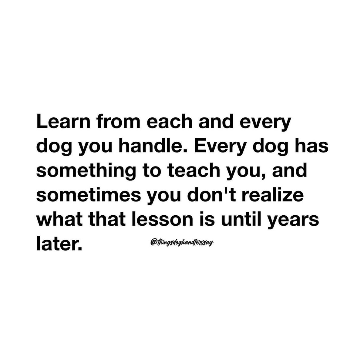 DogShowMentor's tweet image. Shared from @Things Dog Handlers Say 

#dogshowmentor #ownerhandlers #NOHS #americankennelclub