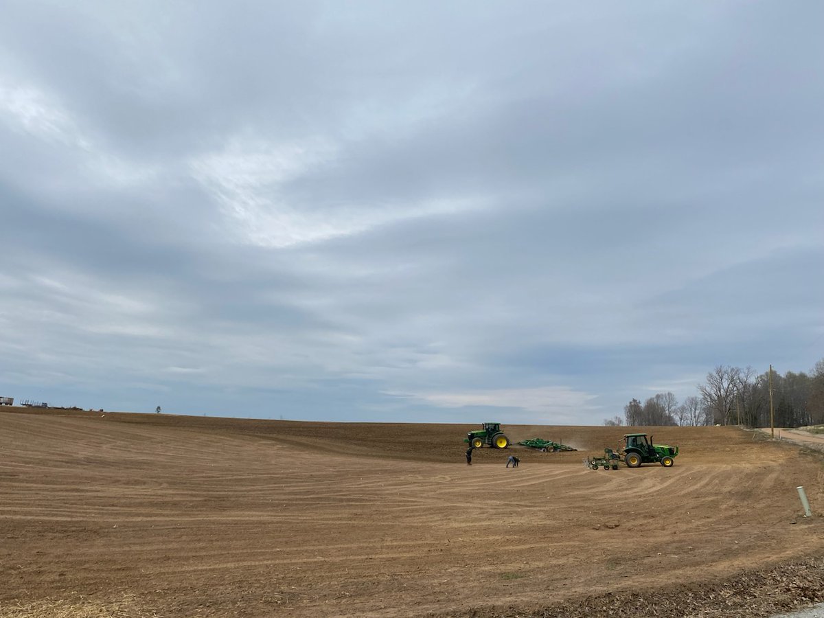 Tri-Turf Sod tweet media