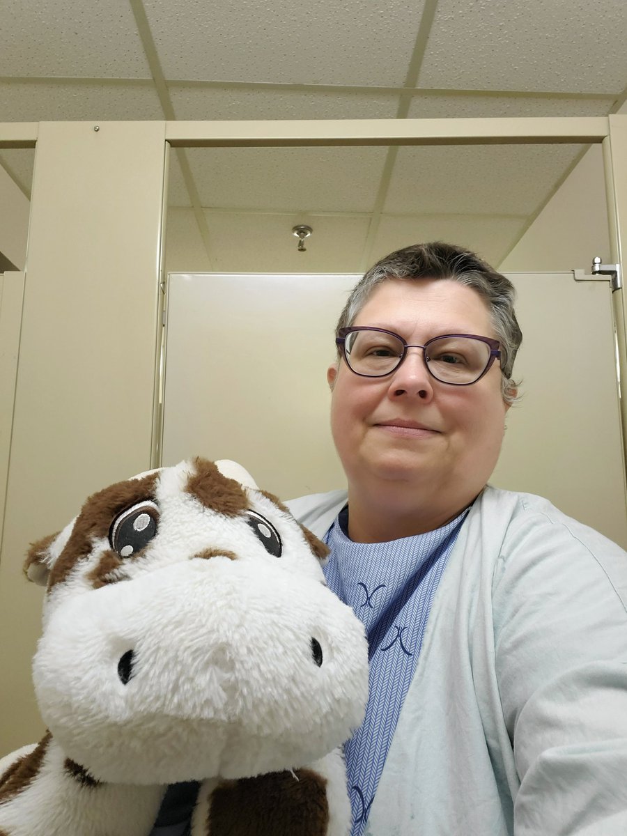 Chemoo the Chemootherapy Cow tweet media