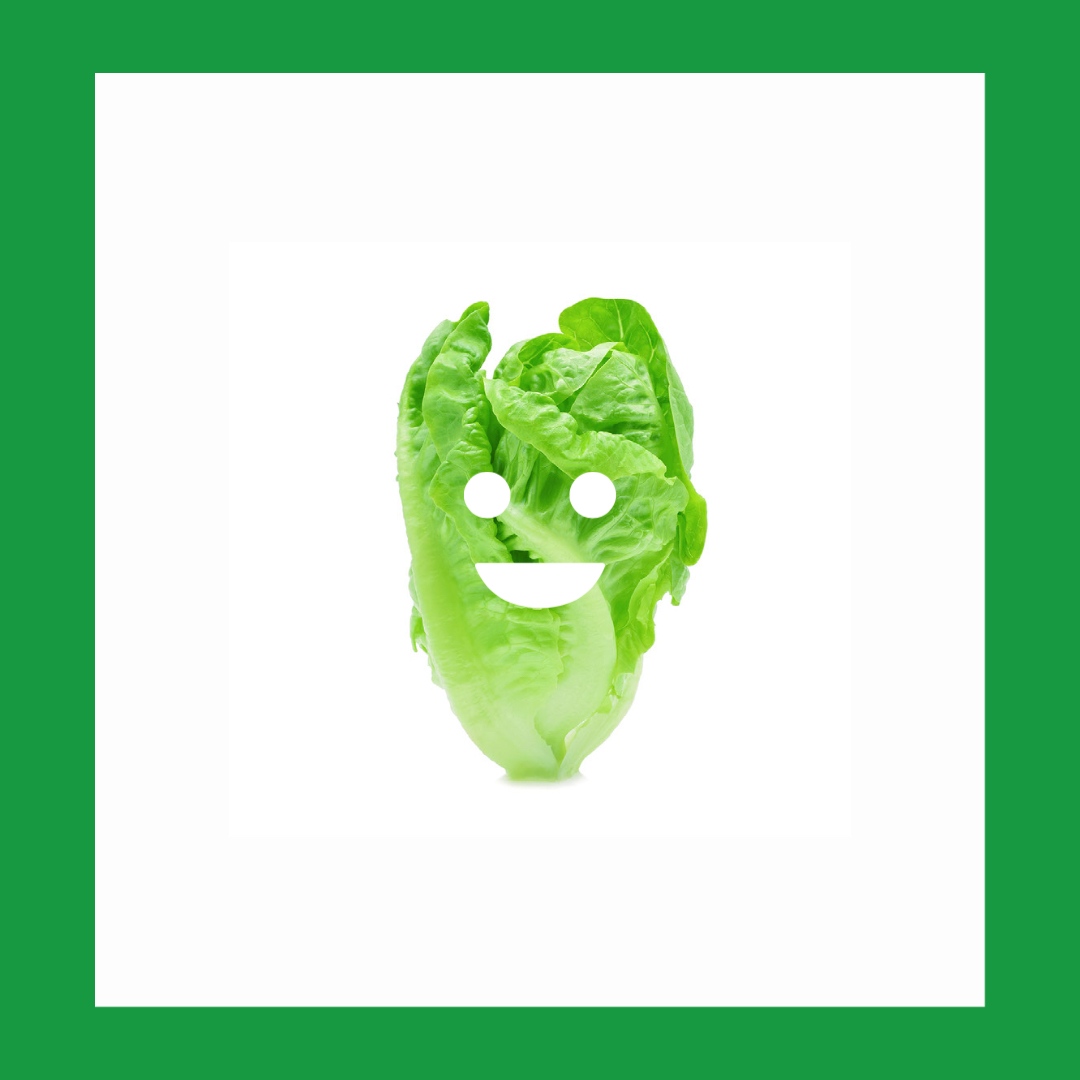 Lettuce remind you: Happy St. Patrick's Day and the annual K-State Farmer's Market is from 11 am to 1 pm on Tuesday, Mar. 21 in the Courtyard, K-State Student Union. ⁠
⁠
There will be music, giveaways, and more!⁠
⁠
#MakeLifeEventful