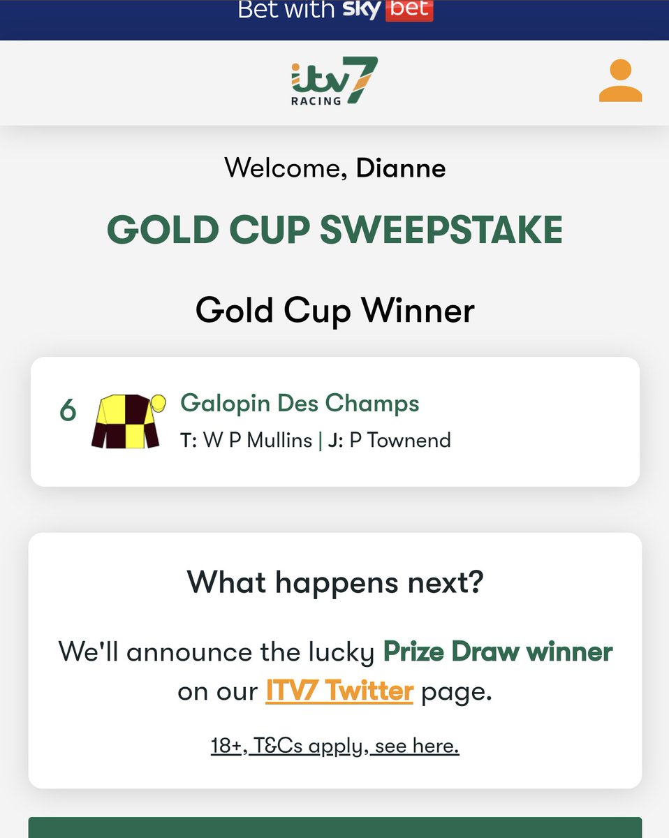 xxdianney's tweet photo. @itv7 I picked Galopin Des Champs but mine doesn't say I'm in the prize draw?? @itv7 https://t.co/5k8DDjb1TG