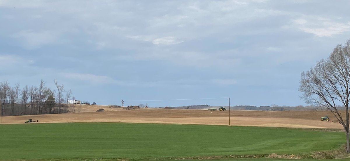 Tri-Turf Sod tweet media