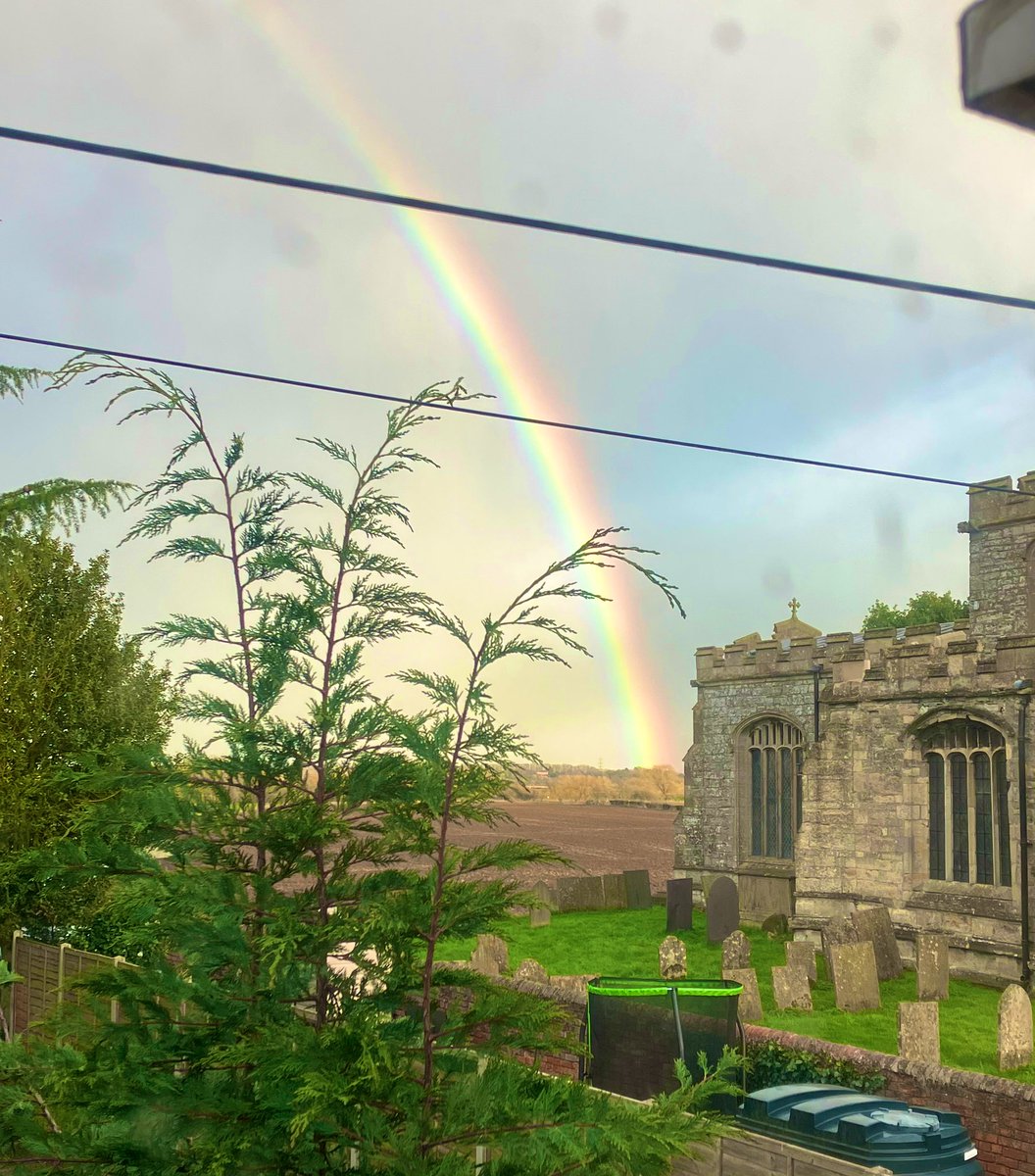 Henlo Jelly 👋❤️🌈 #NeverForget #rainbowbridge #hedgewatch #rainbowbranch #StPatrickDay