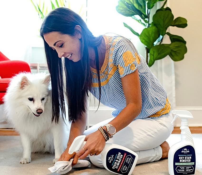 amoud50's tweet photo. 🐶🐱Pet odors and stains can be a challenge to eliminate, but Rocco &amp; Roxie &amp; Odor is here to help! This enzymatic cleaner is specifically designed to break down pet urine, feces, and vomit, leaving your home smelling fresh and clean. #RoccoAndRoxie #PetOdorEliminator https://t.co/hI1b71ukz1