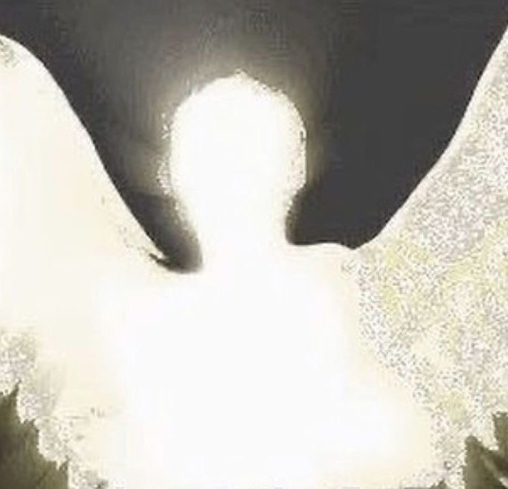 roseprayers's tweet photo. ⠀⠀⠀
jumpscares   the   *reader .
  ⠀⠀⠀ https://t.co/f9cHU4V4Wg