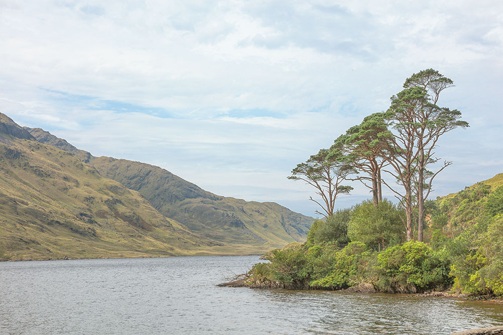 Stephen Johnson tweet media