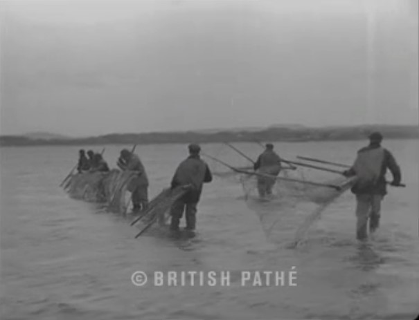 'The fishing party looking something like boys with big box kites go down to the river'

A short clip about fishing on the Solway from 1942!
👉 britishpathe.com/asset/187297/