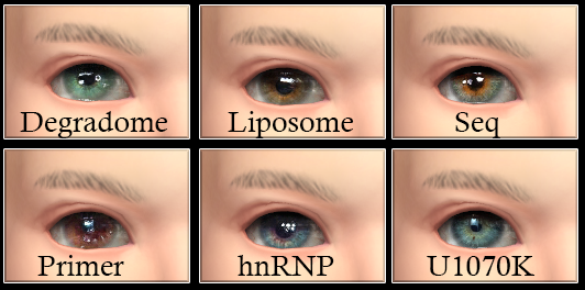 Facepaint eyes enabled for infants:

Degradome: thesimsresource.com/downloads/1596…
Liposome: thesimsresource.com/downloads/1622…
Seq:
thesimsresource.com/downloads/1539…
Primer: thesimsresource.com/downloads/1580…
hnRNP: thesimsresource.com/downloads/1528…
U170K: thesimsresource.com/downloads/1559…

#Sims4  #TheSims4  #ts4cc #s4cc #TS4 #Sims4Infants
