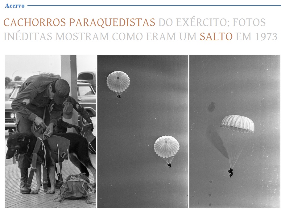 EstadaoAcervo's tweet image. Cachorros paraquedistas do Exército: fotos inéditas mostram como era um salto em 1973
estadao.com.br/acervo/cachorr…

#cachorro #paraquedismo #paraquedas #pastoralemão