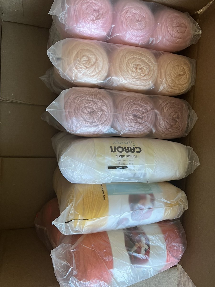 I ordered a “mystery box” of Caron simple soft yarn from Yarnspirations that The Crochet Crowd posted about on YT. 18 balls of yarn for 52 in total with a 15% off coupon. I was nervous about the colors but these are beautiful! 🥰 I just need to figure out what to make with it😅