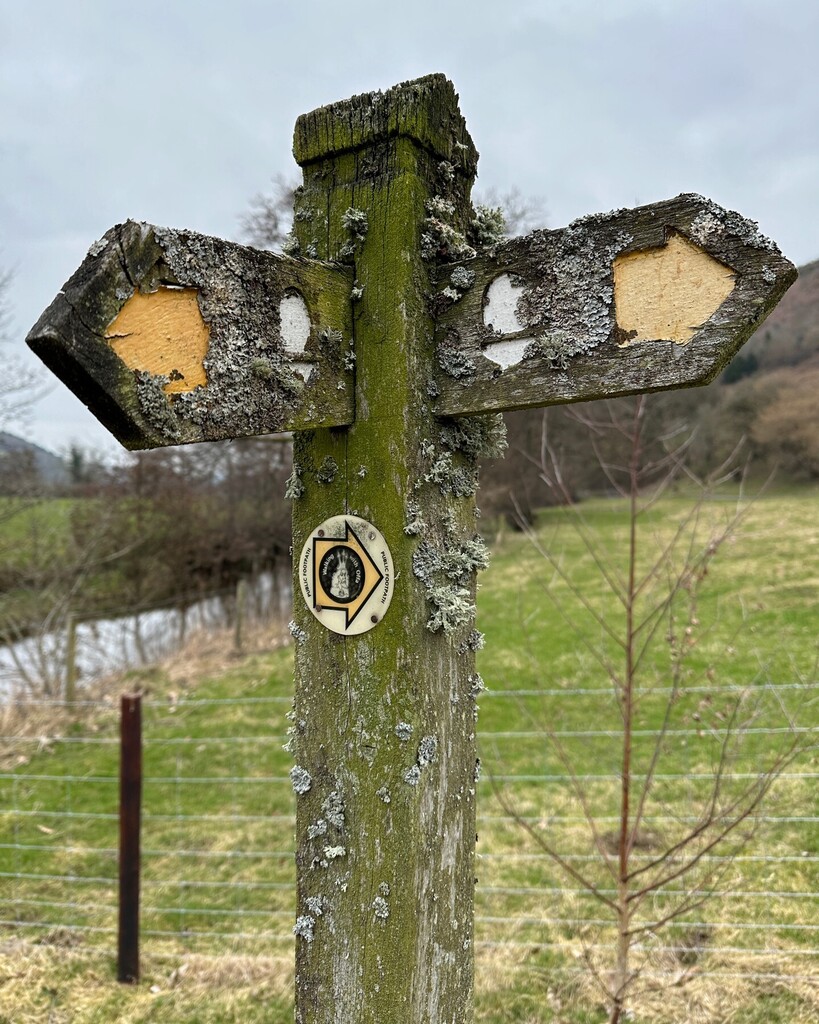 Splodz's tweet image. Finger post Friday... 

This signpost has directed a lot of walkers over the years. 

Photo taken when hiking a short section of Offa's Dyke Path from Knighton a couple of weekends ago. 

===

#FingerPostFriday #OneHourOutside #GetOutside #OSChampions #S… instagr.am/p/Cp5dv_Oo1k5/