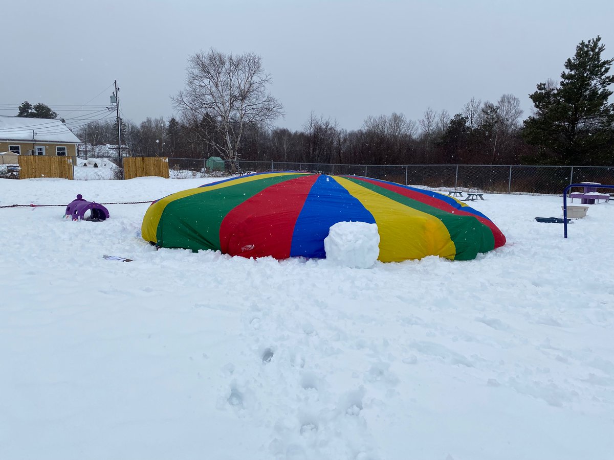 danielle ledrew tweet media