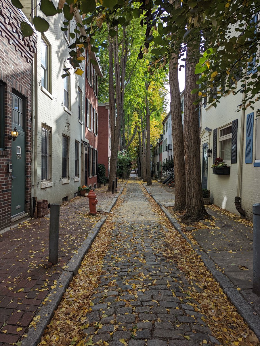 alanthefisher's tweet photo. Americans refuse to accept that Philadelphia exists https://t.co/bPlQtQFOaQ