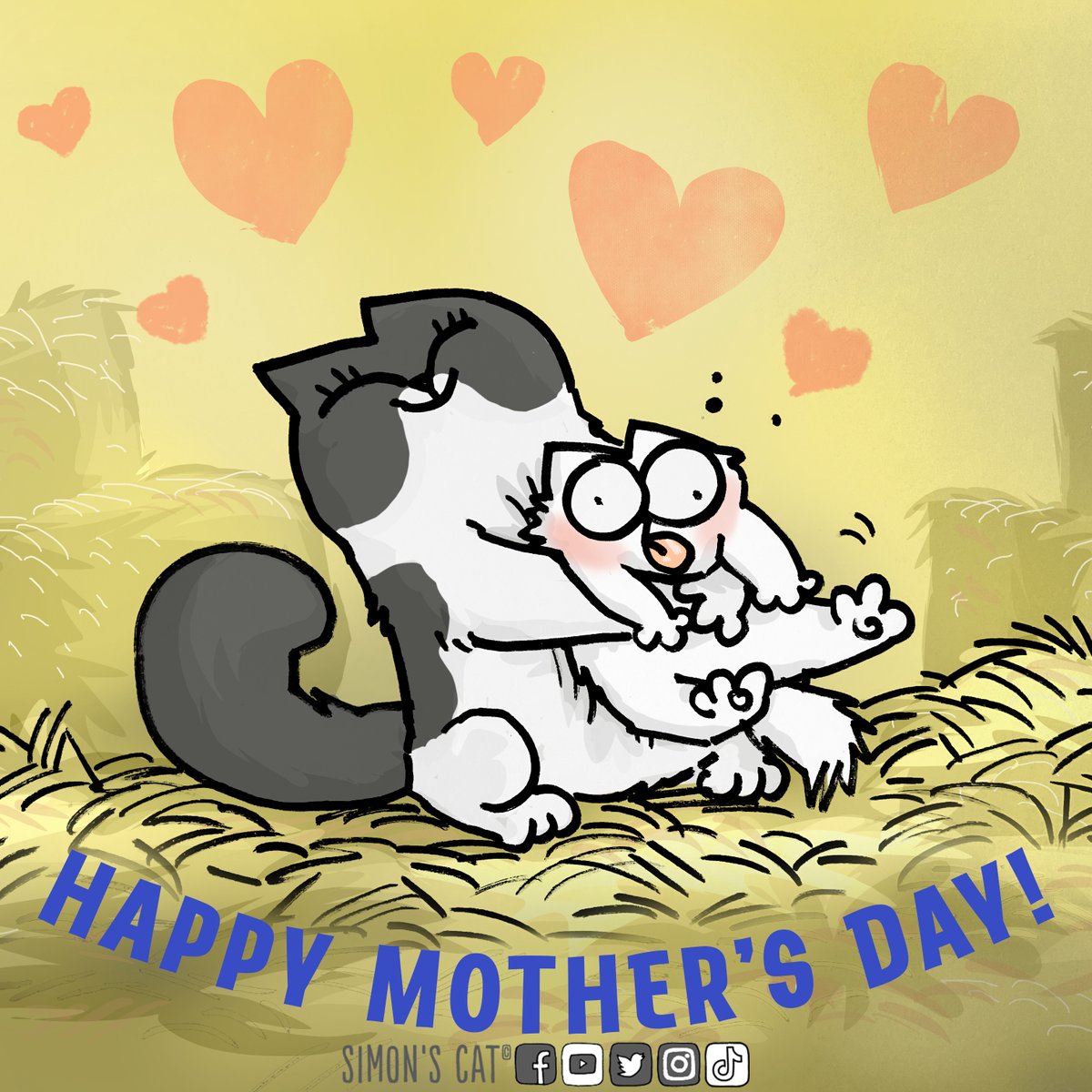 Simon's Cat 🐾 tweet media