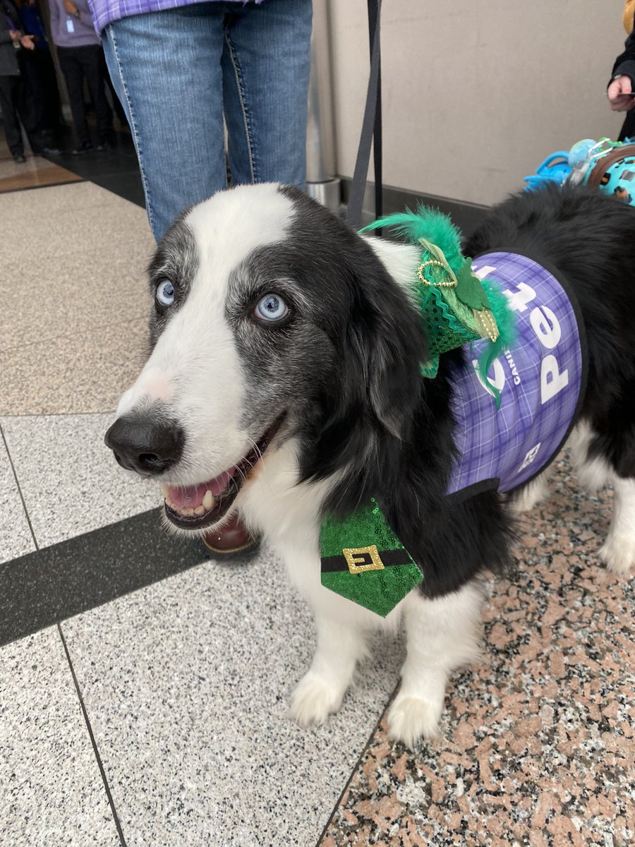 Happy St Patty’s from @DENAirport 🐶 ✈️ #DENCATS