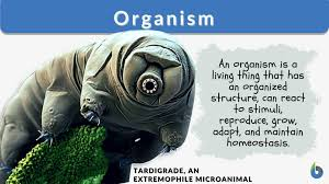 https://www.biologyonline.com/dictionary/organism