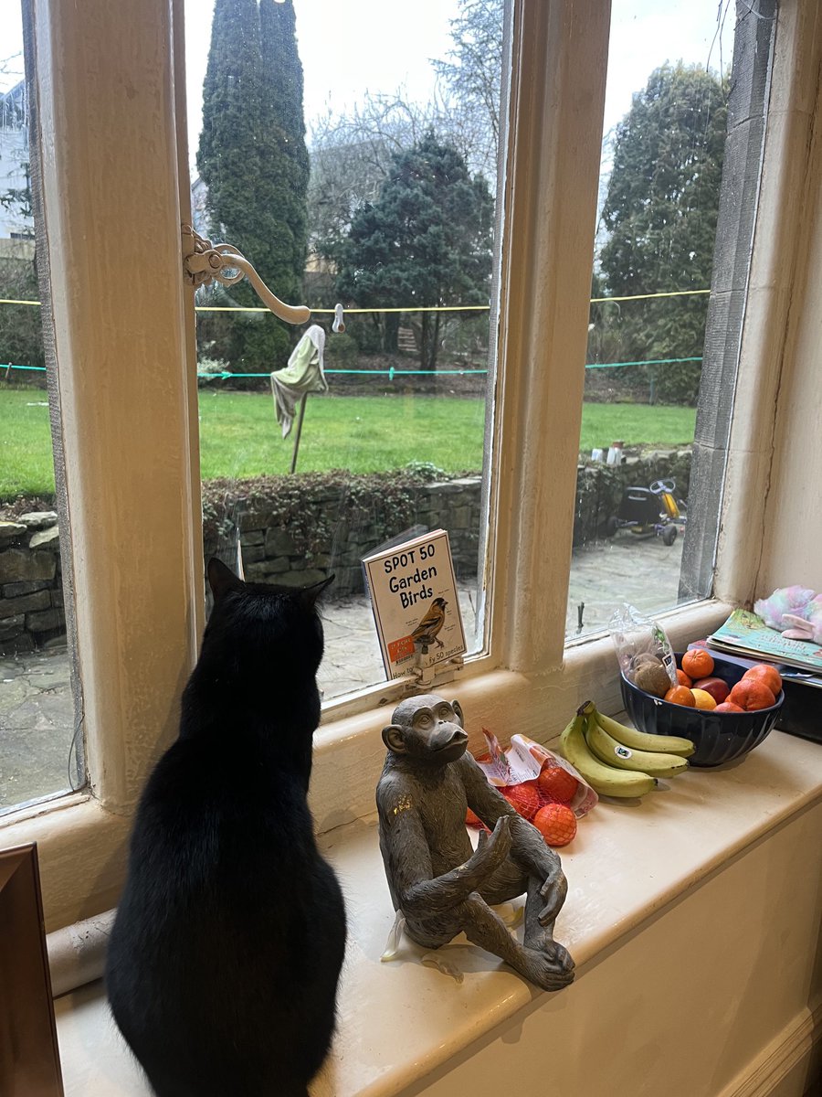 Lee threlfall tweet media