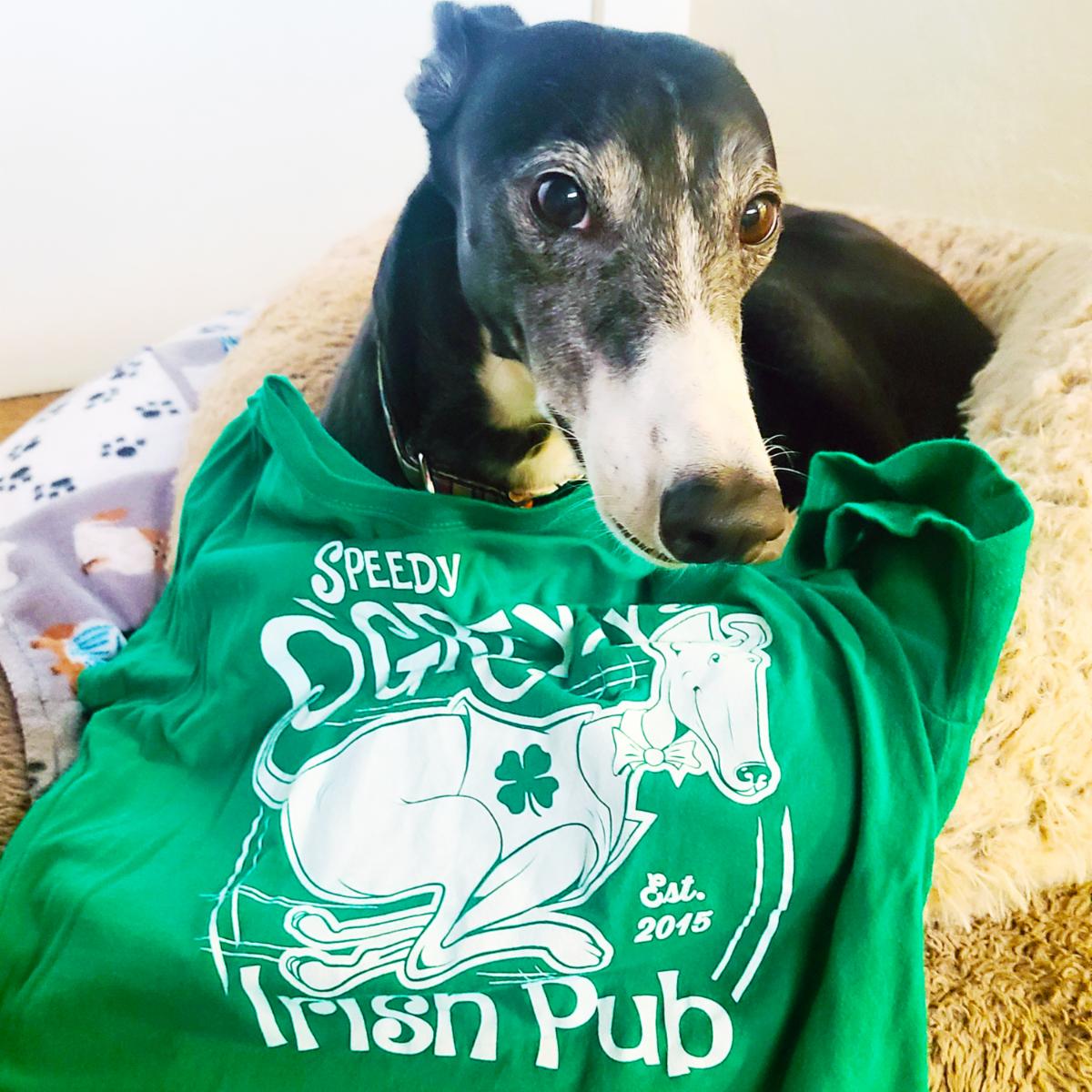 AZHeartHounds's tweet photo. Speedy O'Emily Says Happy St Patrick's Day! Try Your Luck With Millions For Tucson Raffle Tickets To Win Greyt Prizes And Help Our Hounds!
https://t.co/czlpAiBZ6E
https://t.co/R60t2db9Dk
#azheartfelthounds #MillionsForTucson https://t.co/AVWFotNfPc