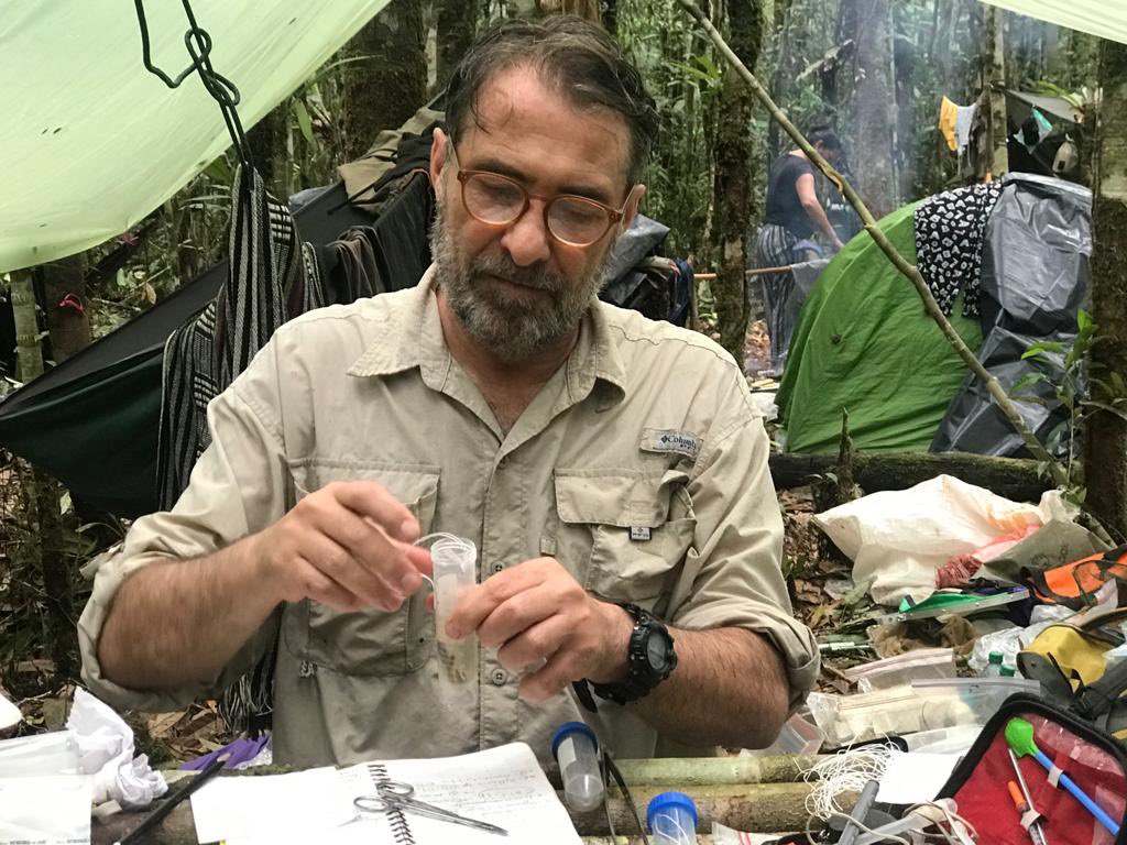 Instituto Humboldt tweet media