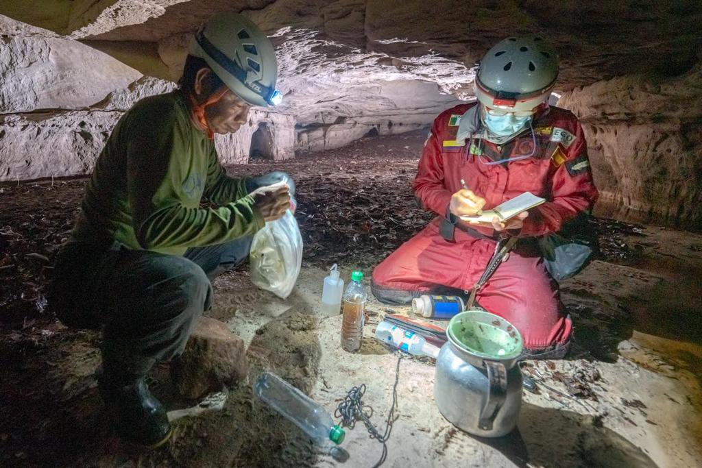 Instituto Humboldt tweet media