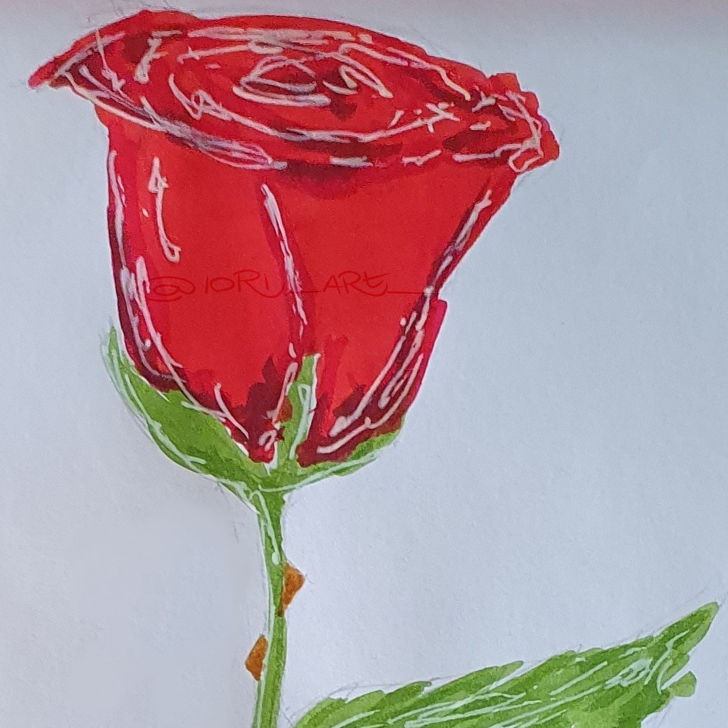 dess_space's tweet photo. Rosa
#floraldrawing #botanicalart #botanicalillustration #botanicalartist #botanicalsketch #botanicaldrawing #floralillustration #sketching #sketchbook #markerart #markerdrawing #art #artgallery #artist #ilustration #spring #draw #drawing #drawthisinyourstyle #ArtOfTheDay https://t.co/lciqN5r4RD
