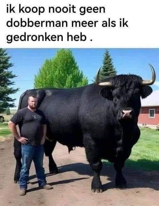 Annet443 tweet media