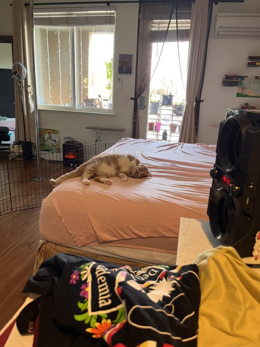 #HappyStPatricksDay2023  first road trip with my puppy xoxo #LA here we come ❤️😘🥰 https://t.co/zSO4K<a href="/tag/happystpatricksday2023"class="tags">#HappyStPatricksDay2023</a><a href="/tag/la"class="tags"><span>#la</span></a>
