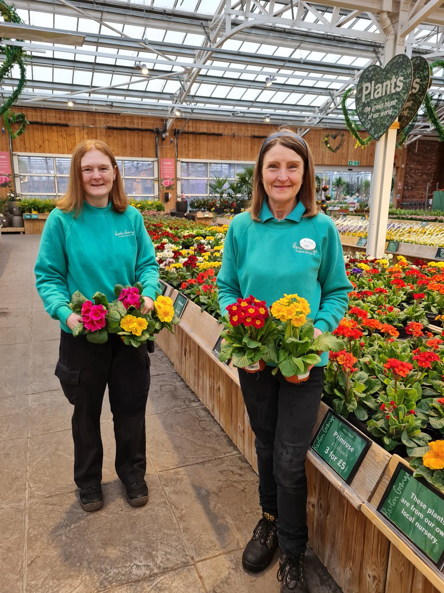 Baby Beat Official (@babybeatorg) on Twitter photo Happy Mother’s Day! 🥰
In honour of the day, @BartonGrange_GC kindly donated lovely primroses for the mums cared for here at <a href="/LancsHospitals/">Chorley & Royal Preston</a> this weekend. The Amazon distribution centre in Leyland also gave tissue & bags to make our presents as pretty as possible. Thank you!🧡🌷 Happy Mother’s Day! 🥰
In honour of the day, @BartonGrange_GC kindly donated lovely primroses for the mums cared for here at <a href="/LancsHospitals/">Chorley & Royal Preston</a> this weekend. The Amazon distribution centre in Leyland also gave tissue & bags to make our presents as pretty as possible. Thank you!🧡🌷