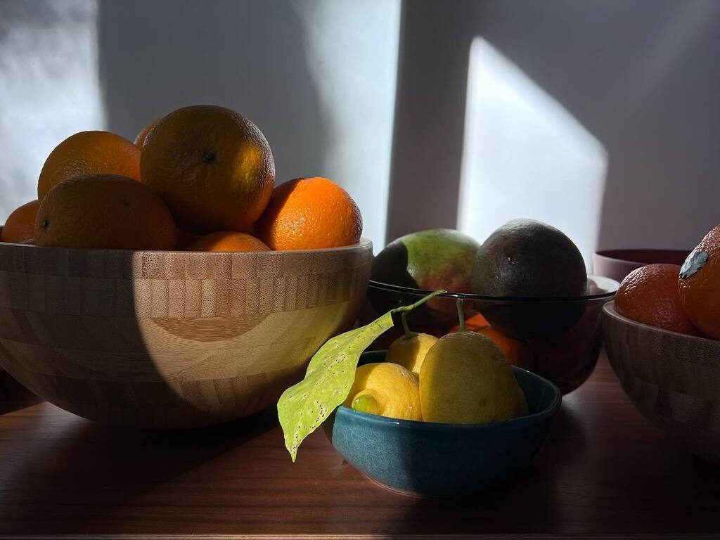 Still life #2 

#observations #stilllife #naturallight #iphonography #light #colours  #homesweethome instagr.am/p/Cp5gxm1oWvR/