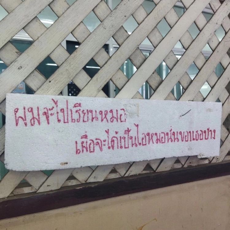 takemybear 🐶 (@takemybear) on Twitter photo 