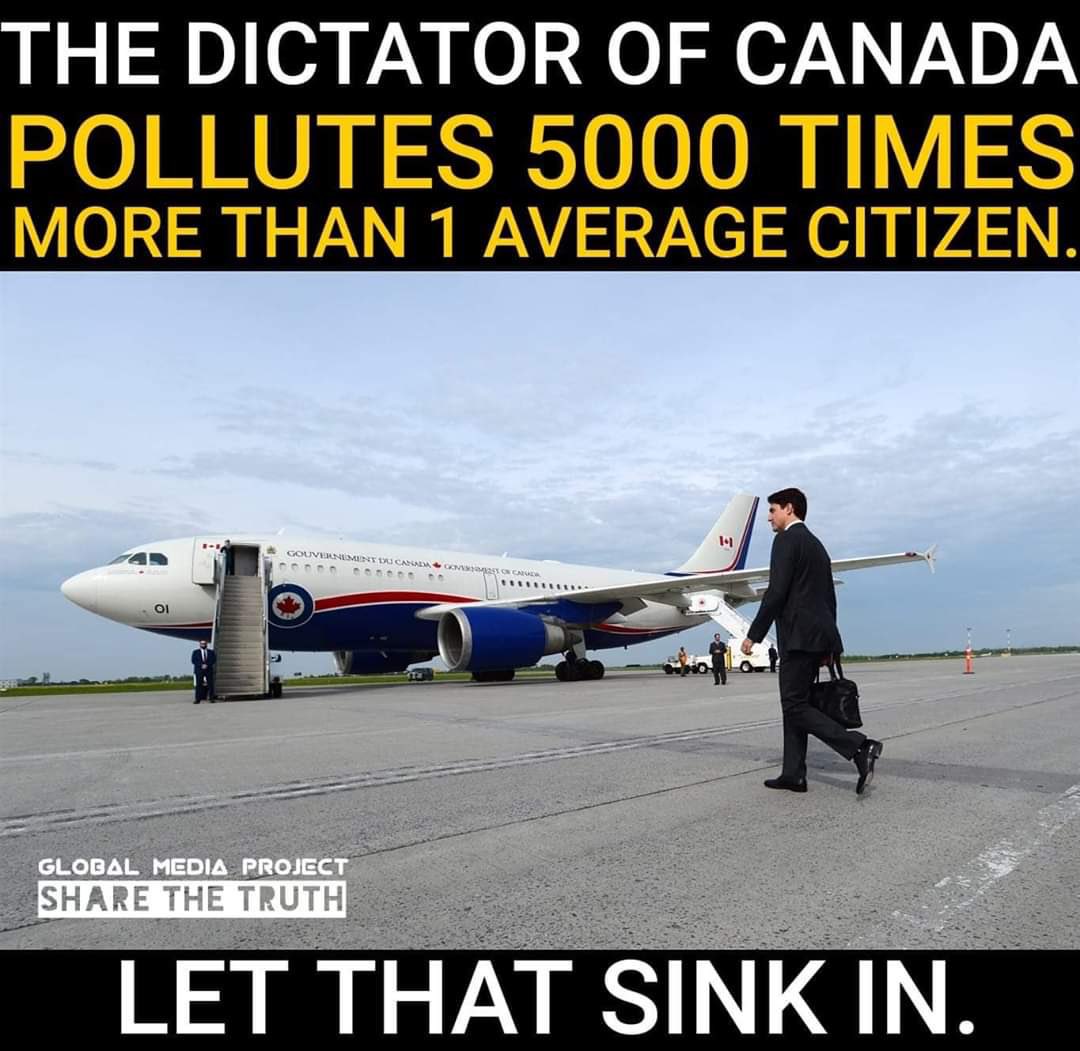 SharonT20519250's tweet photo. #SmartPeopleDoNotVoteTrudeau
#TrudeauTheHypocrite https://t.co/uYUxNorPLH