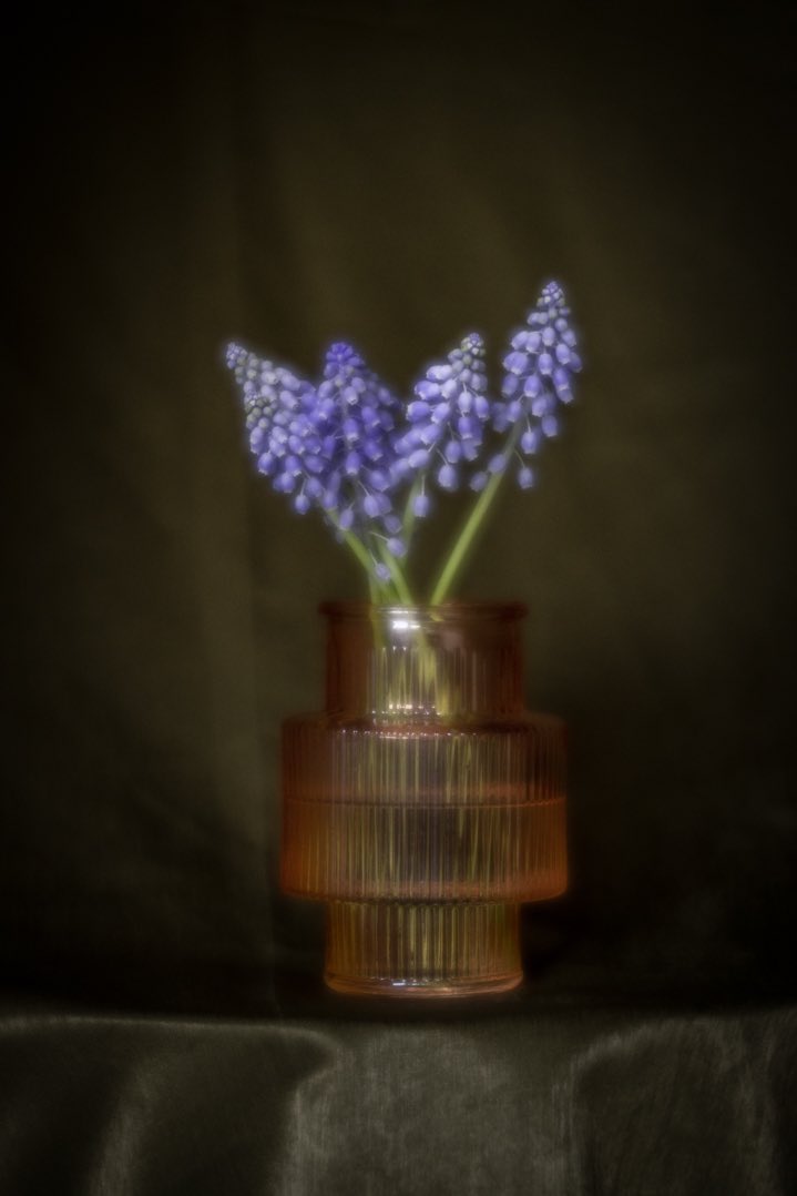 Anne Reitsma 📷 tweet media