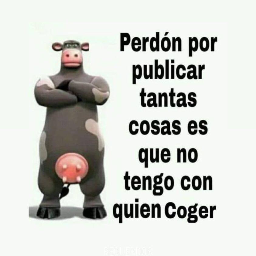 DanteRa45540508's tweet photo. @dipsinset idea para tu próximo post, bro https://t.co/ITA49QRKqI