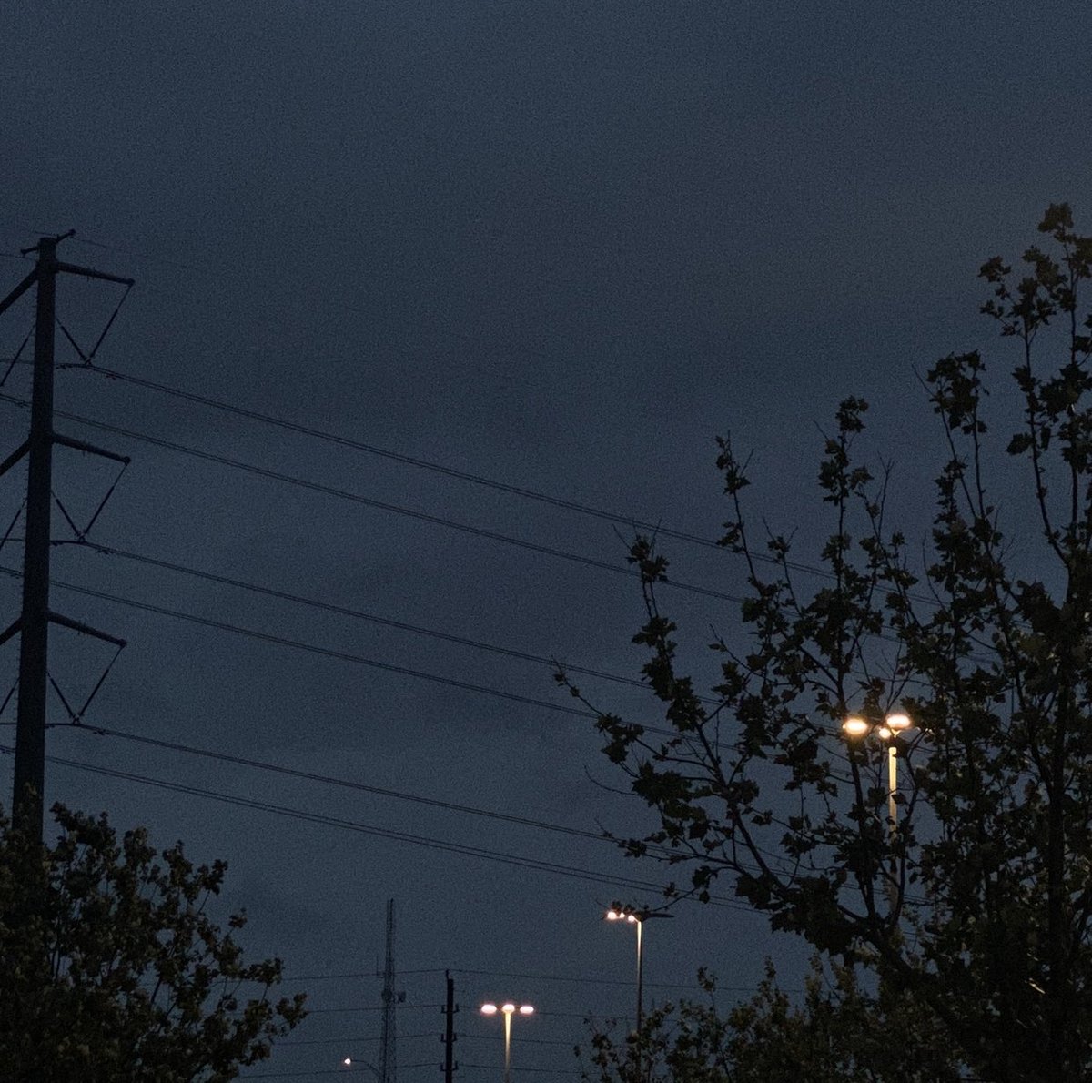 SHOTBYMILO's tweet photo. whatisthis? https://t.co/08cAIX2Jm6