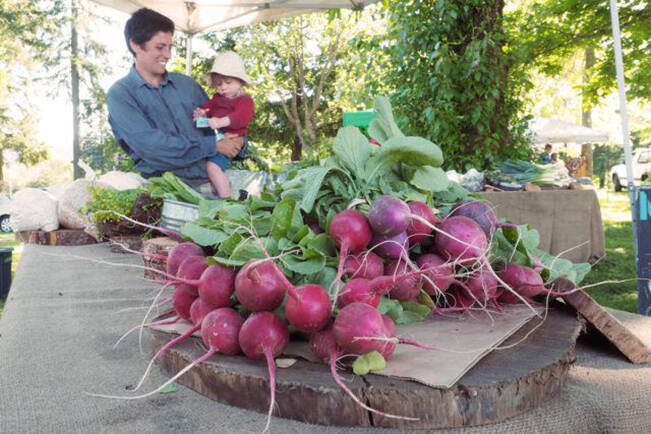 'Divert precious dollars to buy Island-sourced food
Supply-chain issues, climate change, inflation show importance of food security, says VIU student' 🥬

🔗Read the full article here: nanaimobulletin.com/opinion/opinio…