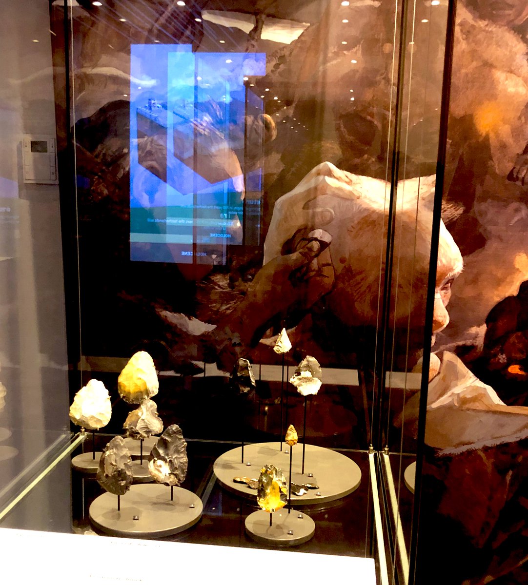 prehistoryRMO's tweet photo. For #FindsFriday and #FlintFriday some of the Great Yarmouth #handaxes at the opening of the @RM_Oudheden #Doggerland exhibition @HuisvanHilde… and the mealworms I ate! 🐛 🌊💪🎉 https://t.co/G4oJo8zz2y