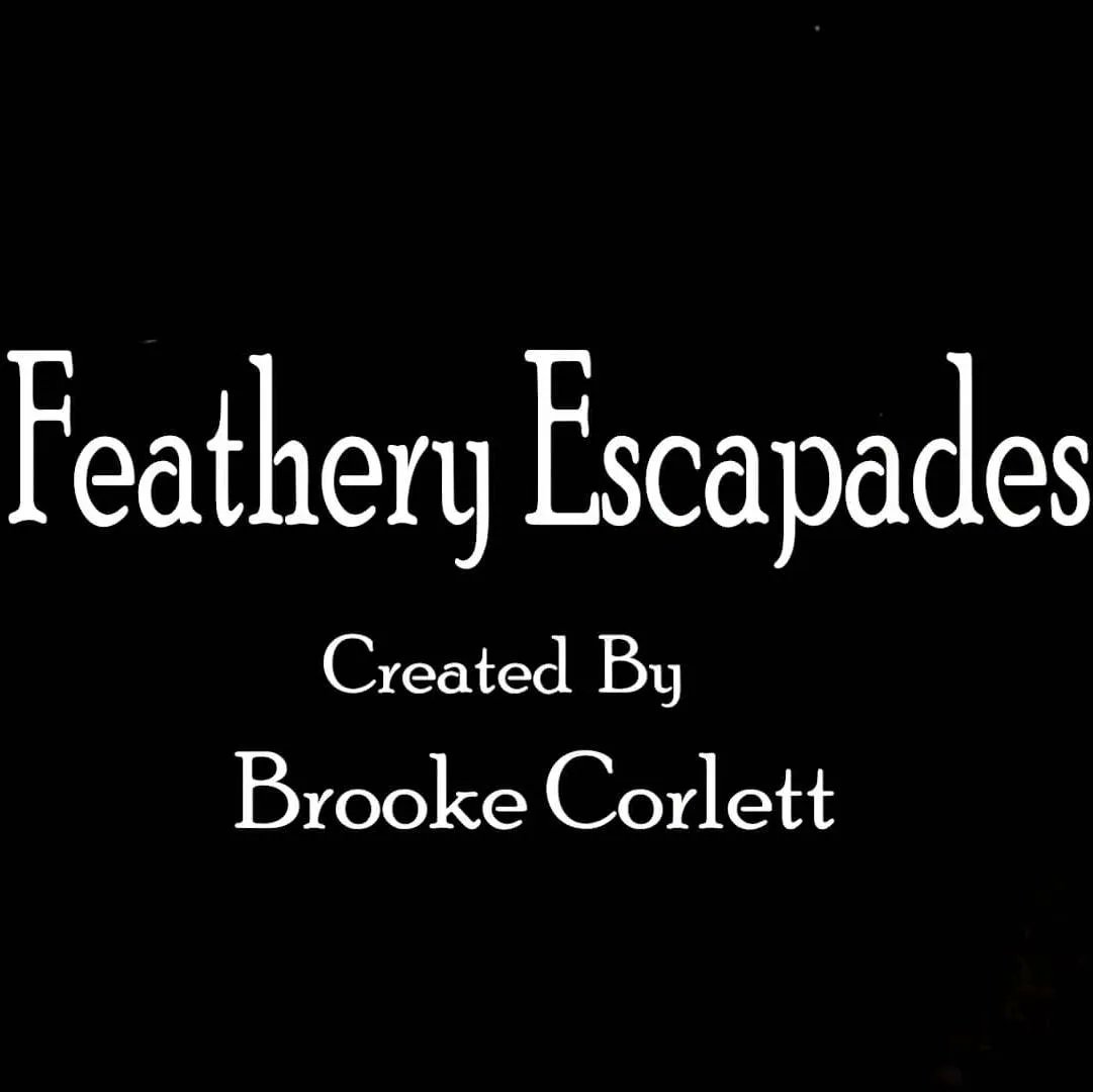 Flash Film Commission tweet media