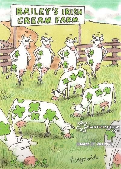 DcncI's tweet photo. As luck would have it - it's the return of Friday Fun! Happy St. Patrick's Day, no matter where your Irish Cream comes from 😂 https://t.co/821LmOjZb5