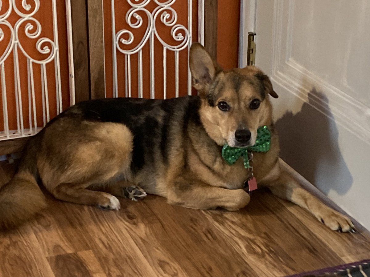 I am Lena’s mom tweet media