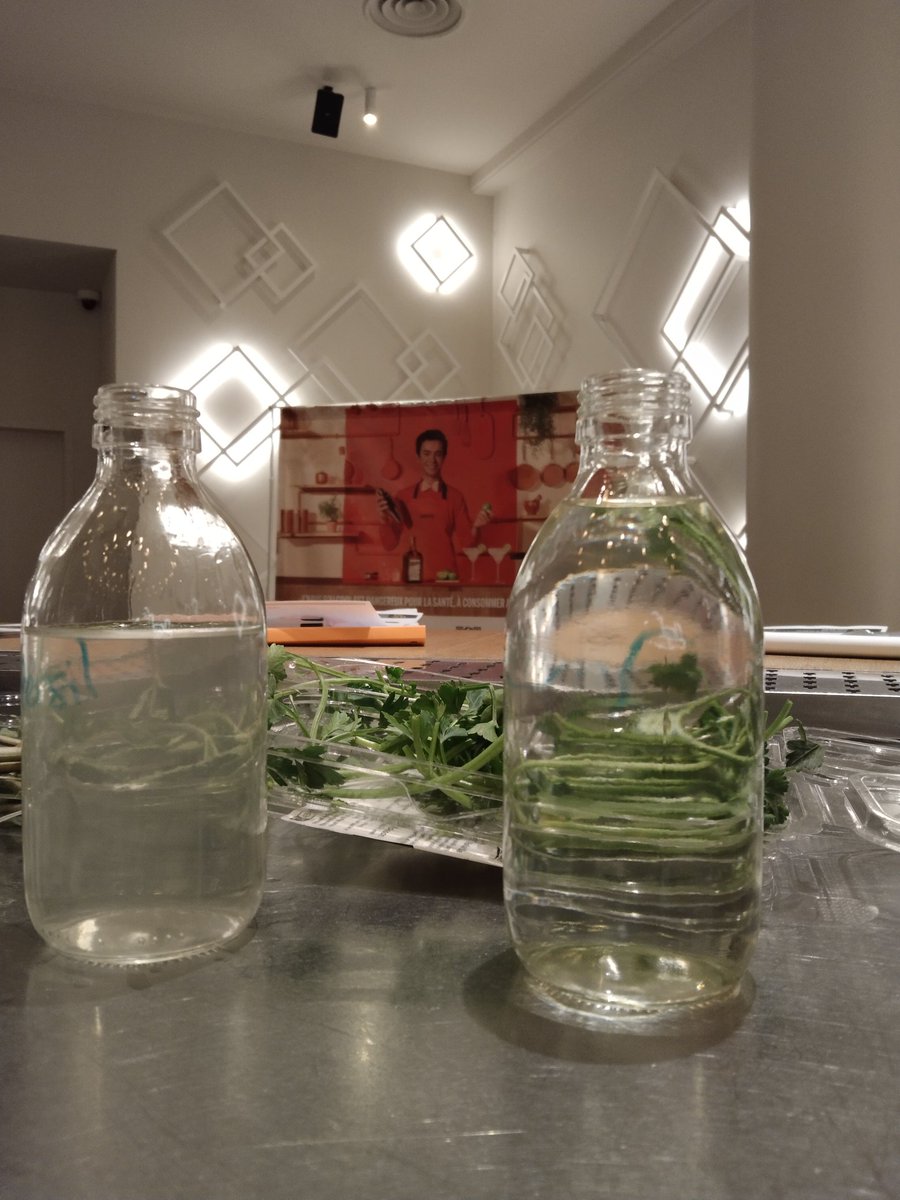 🟩Intervention sur #greenextraction chez Carré <a href="/remycointreau/">Rémy Cointreau</a> cette semaine avec les étudiants MC Barman @CCI49 🙏🌱

#vanillabridge #angers #vanille #produitenanjou