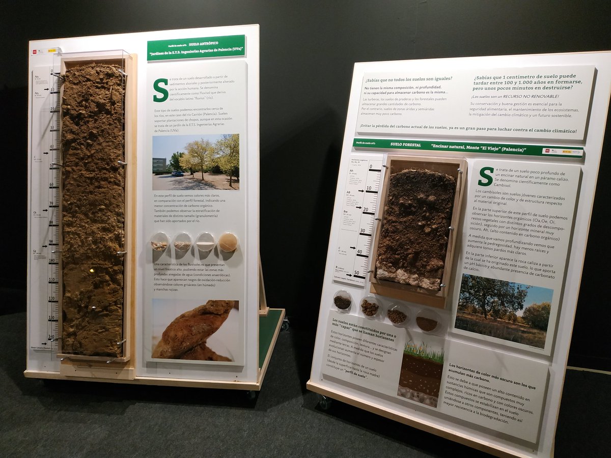 GabriSanguesa's tweet photo. Especialmente interesante la exposición de #CambioClimatico y #bosques en la que participan nuestros compañeros de @YoungForesters https://t.co/OFcGvZivts