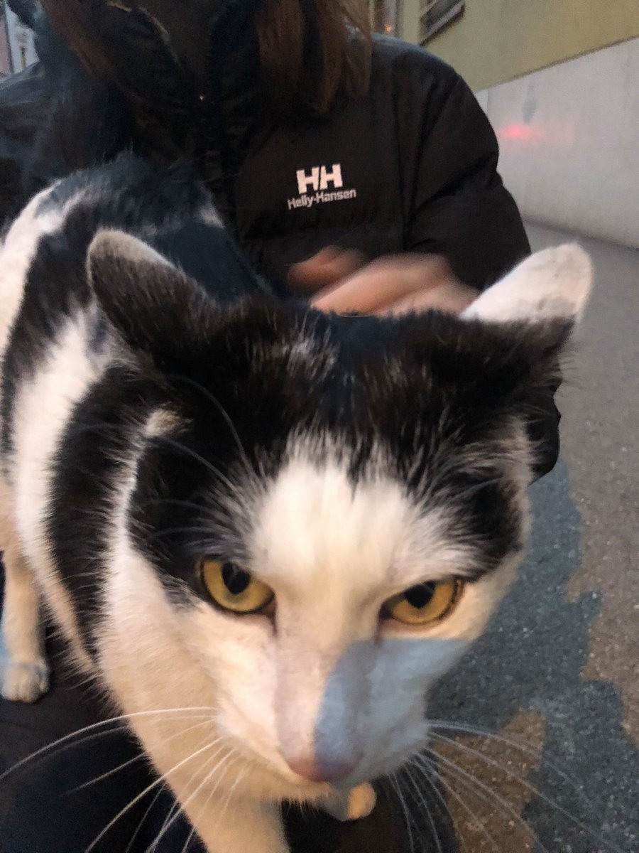 lea 🌿 tweet media