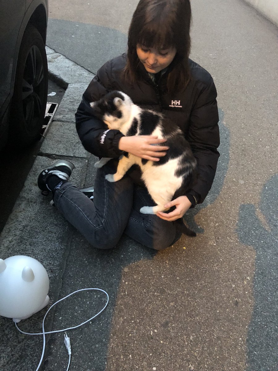 lea 🌿 tweet media